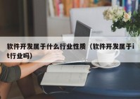 软件开发属于什么行业性质（软件开发属于it行业吗）