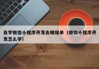 自学微信小程序开发去哪接单（微信小程序开发怎么学）